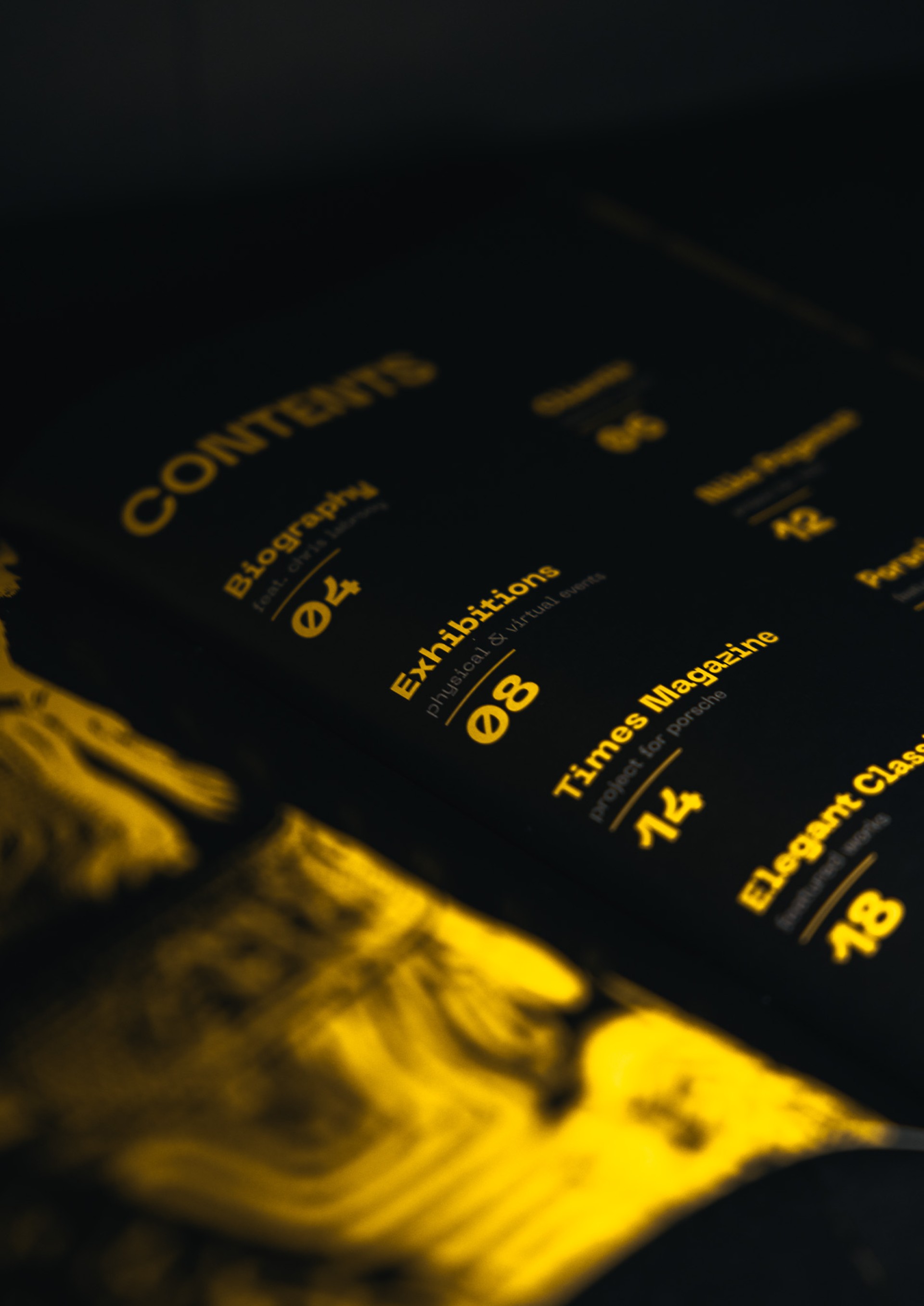 Beyond the Ordinary \ Publication Design